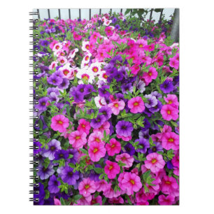 Pretty Petunias Notebook