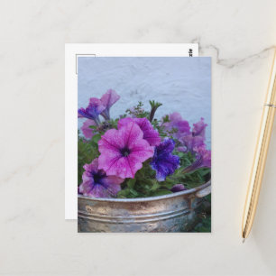 Pretty Petunias Postcard