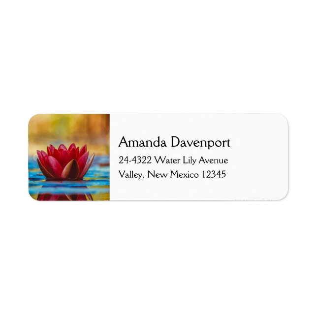 Pretty Photo of a Lotus Flower in a Pond (Front)