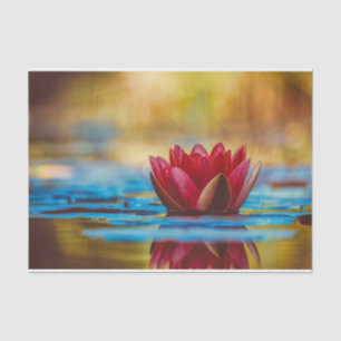 Pretty Photo of a Lotus Flower in a Pond Tissue Paper