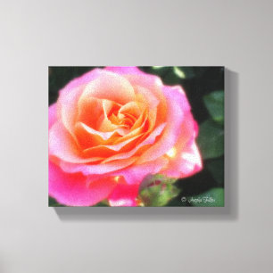 Pretty Pink and Orange Rose Macro Photo Canvas Print