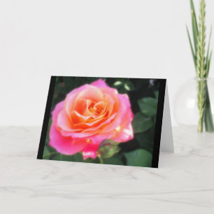Pretty Pink and Orange Rose Macro Photo Card