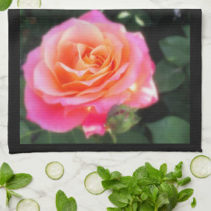 Pretty Pink and Orange Rose Macro Photo Kitchen Towel