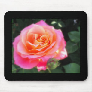 Pretty Pink and Orange Rose Macro Photo Mouse Pad