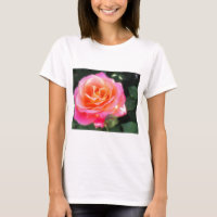 Pretty Pink and Orange Rose Macro Photo