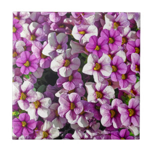 Pretty pink and purple petunias floral print tile