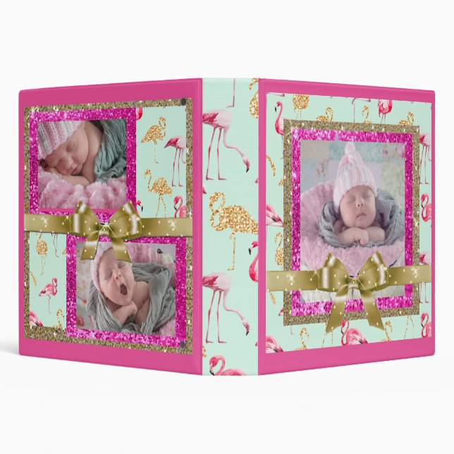 Pretty Pink and Teal Flamingo Binder (Background)