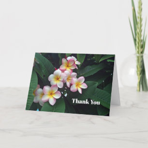 Pretty Pink and Yellow Plumeria Floral Photo Thank You Card