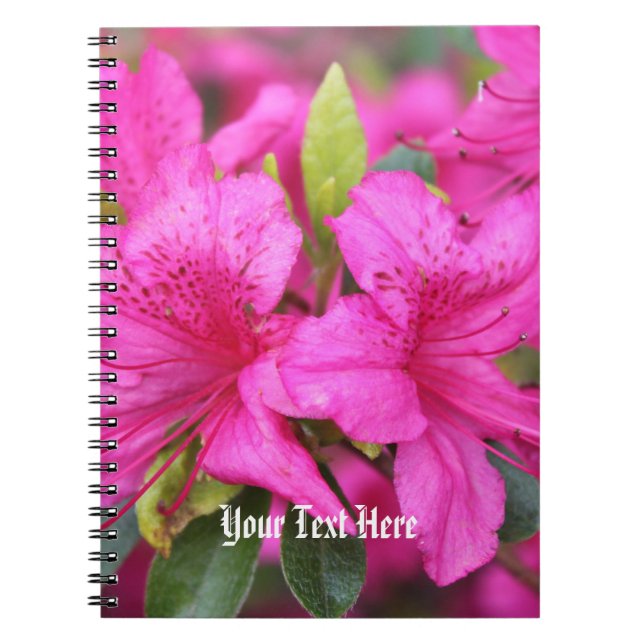 pretty pink azalea flowers notebook (Front)