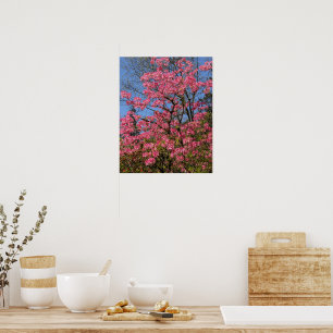 Pretty Pink Azaleas Floral Poster
