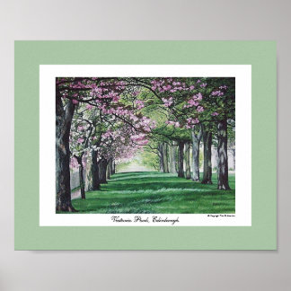 Pretty pink blossom Edinburgh scenery fine art Poster