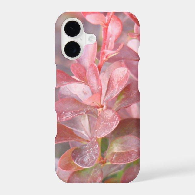 Pretty Pink Branches (Back)