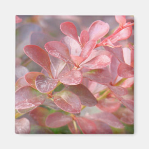 Pretty Pink Branches Magnet
