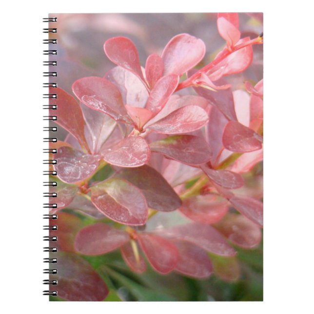 Pretty Pink Branches Notebook (Front)
