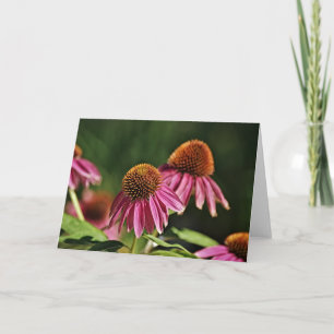 Pretty Pink Coneflower Garden Art Note Card