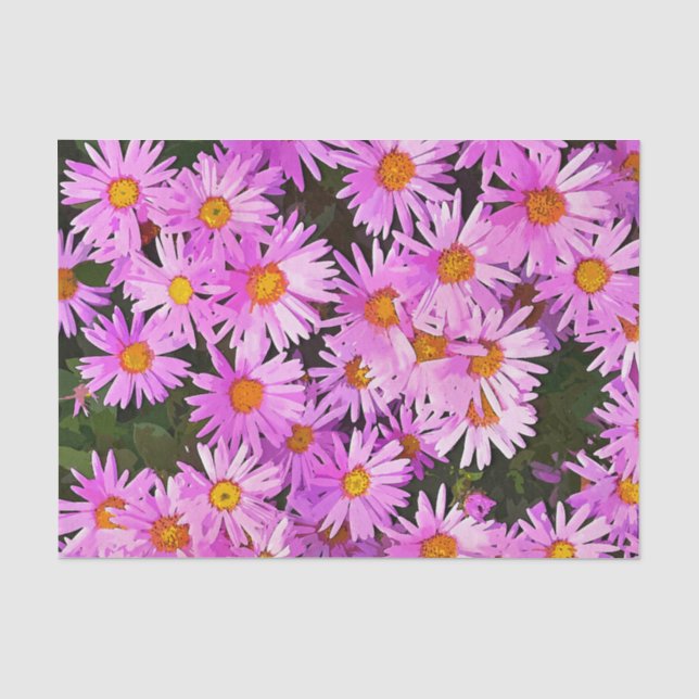 PRETTY PINK DAISIES TISSUE PAPER (Front)
