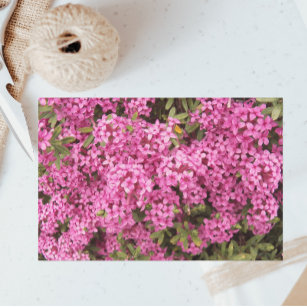 Pretty Pink Daphne Floral Tissue Paper