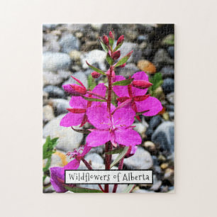 Pretty Pink Fireweed Wildflowers Bloom in Canada Jigsaw Puzzle