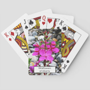 Pretty Pink Fireweed Wildflowers Bloom in Canada Playing Cards