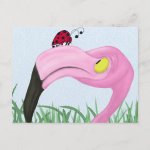 Pretty Pink Flamingo Postcard