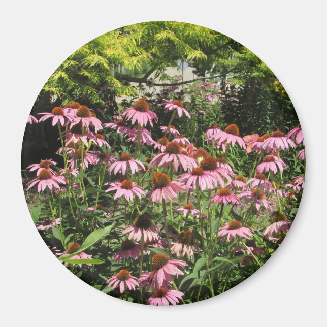 Pretty Pink Flowers of the Midwest Photo Magnet (Front)