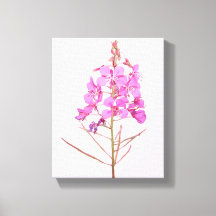 Pretty pink flowers simple modern floral botany