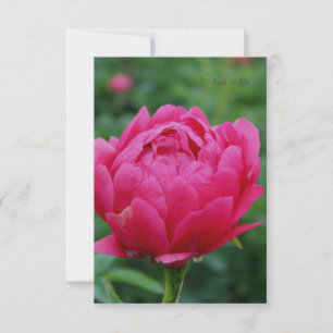 Pretty Pink Garden Peony Card