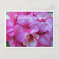 Pretty Pink Geranium Photo Thinking of You