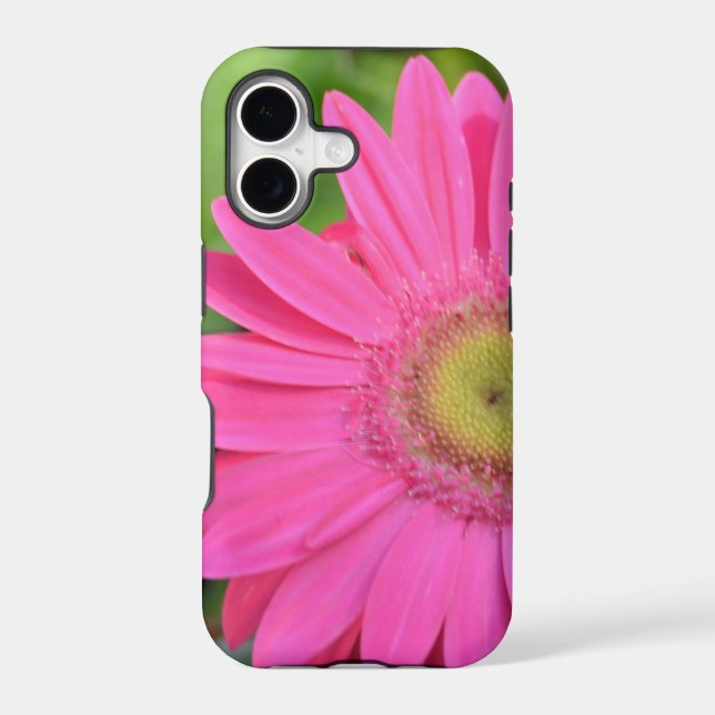 Pretty Pink Gerberas (Back)