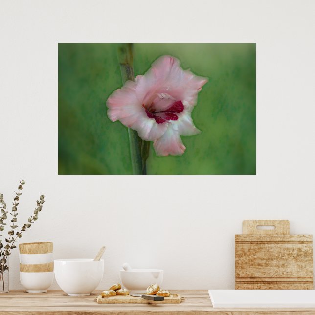Pretty Pink Gladiolus Flower Art Poster (Kitchen)
