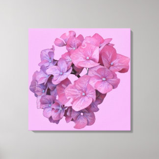 Pretty pink hydrangea flower modern floral minimal canvas print