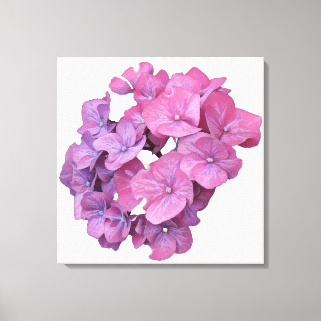 Pretty pink hydrangea flower modern floral minimal canvas print (Front)
