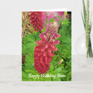 Pretty Pink Lupine Floral Mom Birthday Card