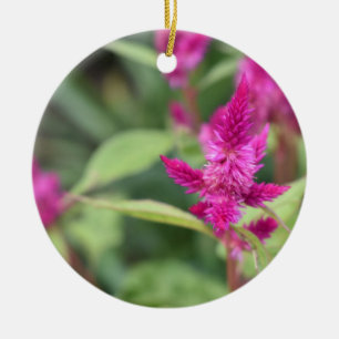 Pretty Pink Magenta Flowers Celosia Garden Photo Ceramic Ornament