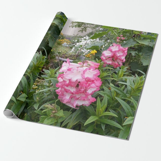 Pretty Pink Penstemon Flower Floral Pattern Garden Wrapping Paper (Unrolled)