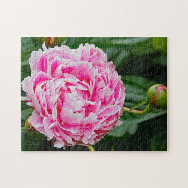 Pretty Pink Peony Floral Photo Jigsaw Puzzle (Horizontal)