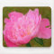 Pretty Pink Peony Mouse Pad