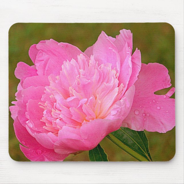 Pretty Pink Peony Mouse Pad (Front)