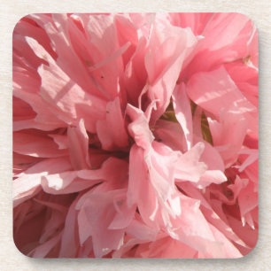 Pretty Pink Poppy Cork Coaster