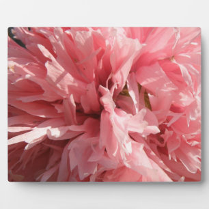 Pretty Pink Poppy Plaque