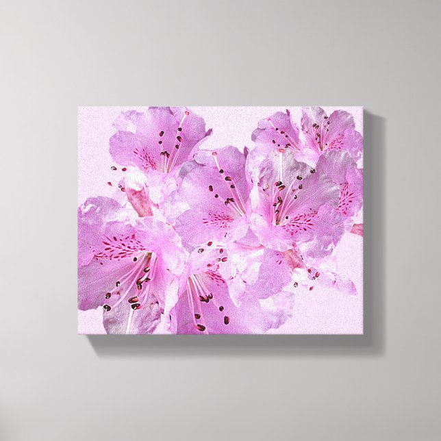 Pretty pink rhododendron blossom beautiful modern canvas print (Front)