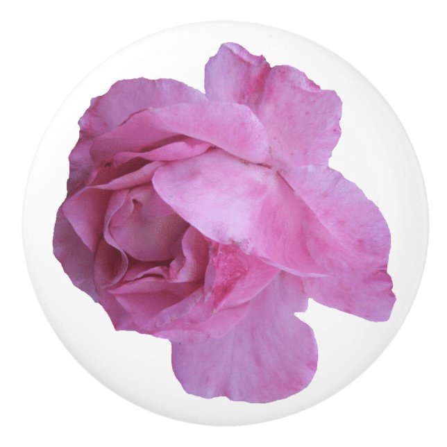 Pretty pink rose beautiful ceramic floral fine art ceramic knob (Front)