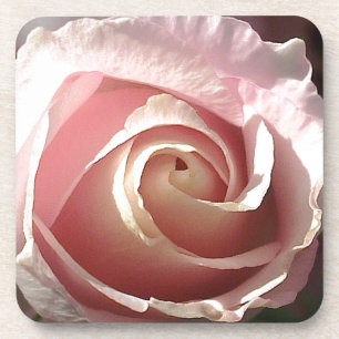 Pretty pink rose coaster
