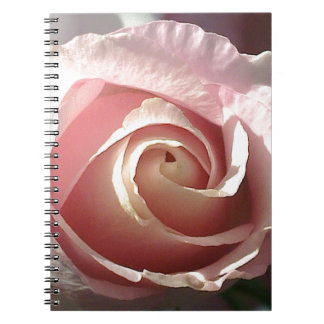 Pretty pink rose notebook