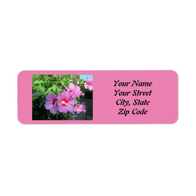 Pretty Pink Rose Of Sharon Photo (Front)
