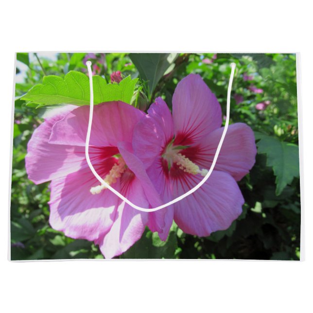 Pretty Pink Rose of Sharon Photo  Large Gift Bag (Front)