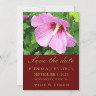 Pretty Pink Rose of Sharon Photo Save The Date