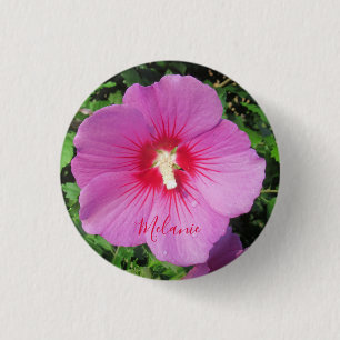Pretty Pink Rose of Sharon Waterdrops Petals Name  1 Inch Round Button