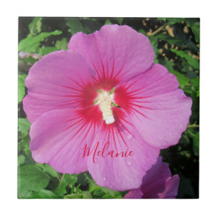 Pretty Pink Rose of Sharon Waterdrops Petals Name Tile