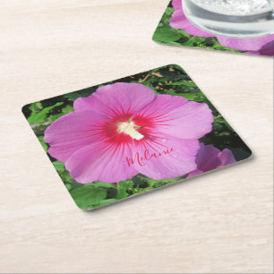 Pretty Pink Rose of Sharon Waterdrops Petals Square Paper Coaster